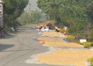  Ngăn ngừa tình trạng người dân tuốt lúa, phơi nông sản trên các tuyến đường bộ.