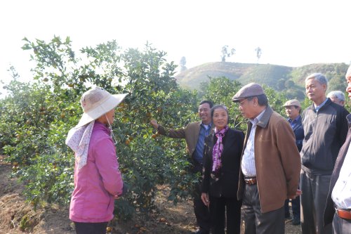 Hội làm vườn và trang trại tỉnh Thanh Hóa giao ban Cụm thi đua số 4 tại thị xã Bỉm Sơn.JPG