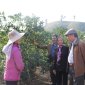 Hội Làm vườn và Trang trại Bỉm Sơn: điểm tựa giúp nông dân phát triển kinh tế trang trại