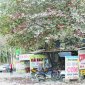 Sớm sắp xếp, cải tạo lại khu dân cư thuộc quy hoạch khu công nghiệp Bỉm Sơn