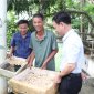Hiệu quả của mô hình nuôi ốc nhồi ở xã Quang Trung.