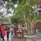 Giữ gìn nét đẹp văn hóa đi lễ chùa đầu năm